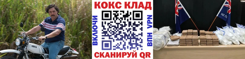 цены   Вятские Поляны  COCAIN Fish Scale 