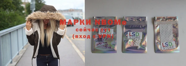 бошки Бронницы
