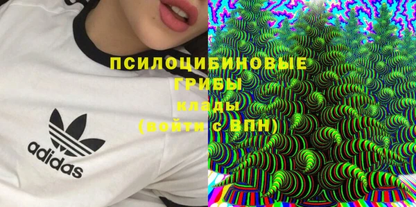 герыч Богородск