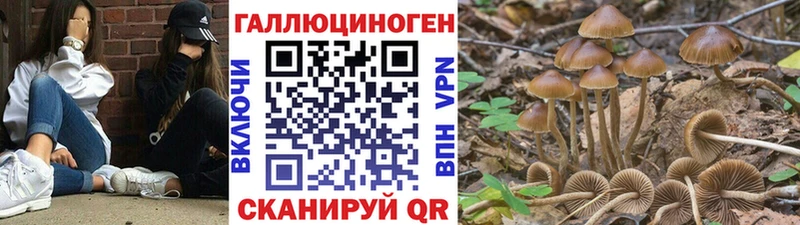 хочу мориарти состав Псилоцибиновые грибы мицелий Вятские Поляны